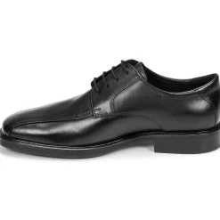Geox - U BRANDOLF Noir Online