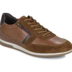 Geox - U RENAN< Baskets Mode