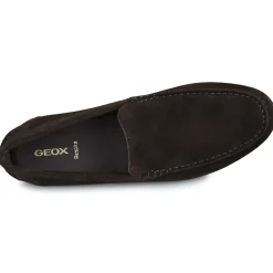 Geox - U SIRON Marron Hot
