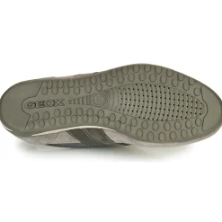 Geox - U WELLS C< Baskets Mode