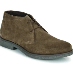 Geox Bottines / Boots^- UOMO CLAUDIO