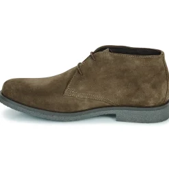 Geox Bottines / Boots^- UOMO CLAUDIO