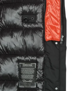 Geox Manteaux^- W3621B-T3018-F9000