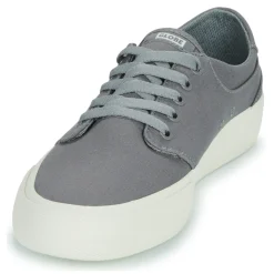 Globe - GOODSTOCK Gris Best