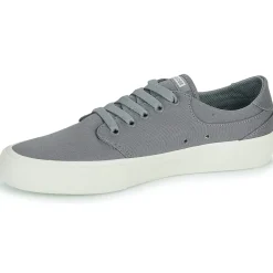 Globe - GOODSTOCK Gris Best