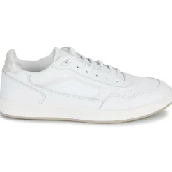 Globe - HOLAND Blanc Best