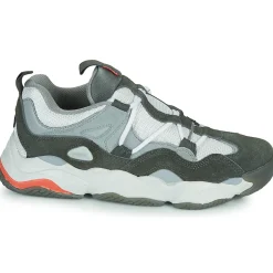 Globe Baskets Mode^- OPTION EVO