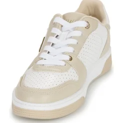 Guess Baskets Mode^- DAISO