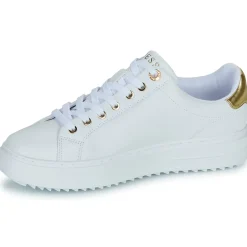 Guess Baskets Mode^- DENESA12