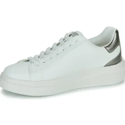 Guess Baskets Mode^- ELBINA