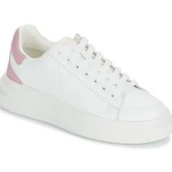 Guess Baskets Mode^- ELBINA