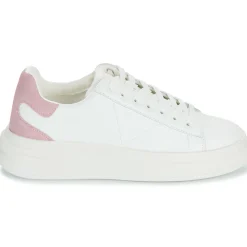 Guess Baskets Mode^- ELBINA