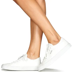 Guess Baskets Mode^- ESTER