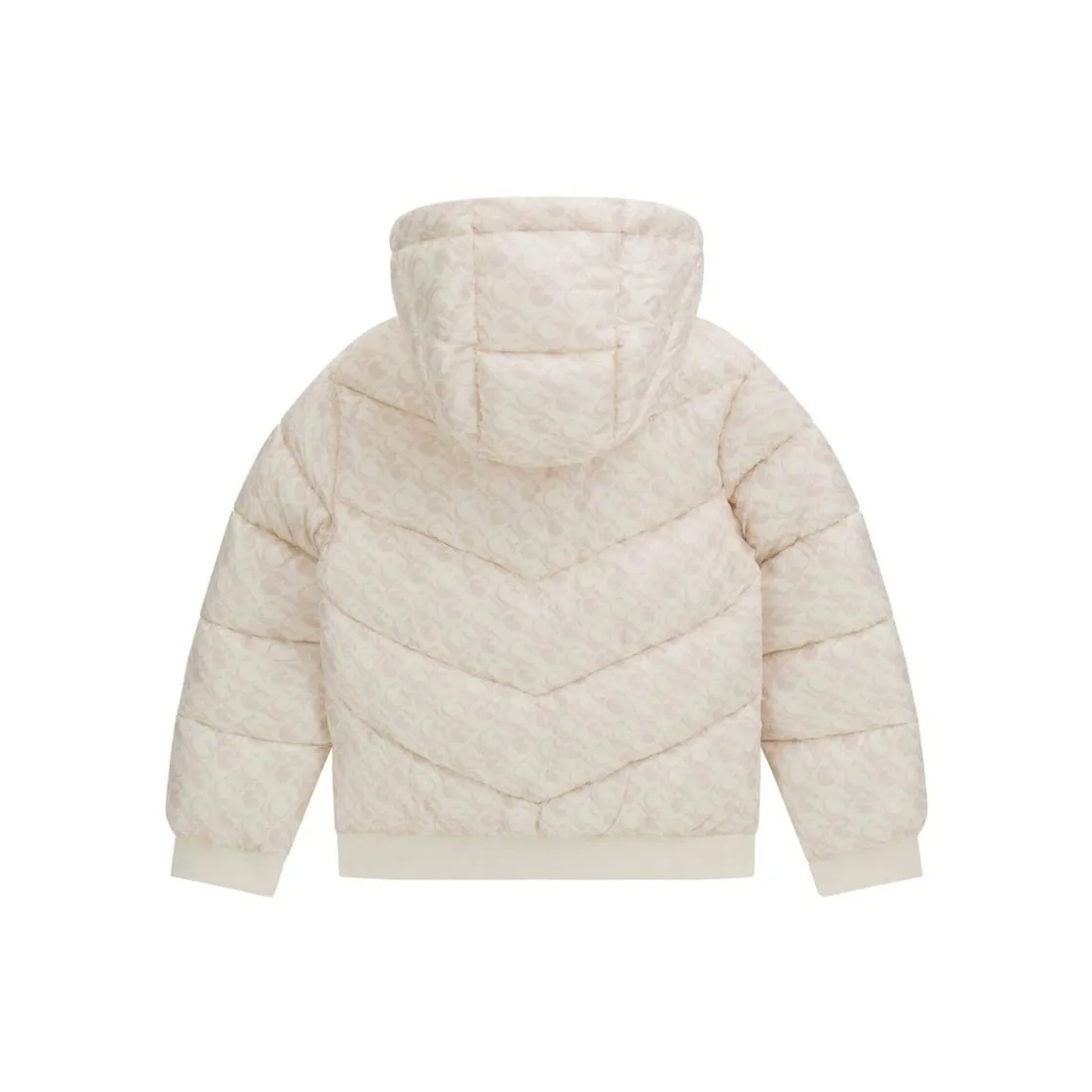 Guess Manteaux^- HOODED LS PADDED PUFFER