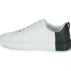 Guess - NEW VICE Online