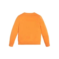 Guess - SWEAT Orange Discount
