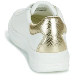 Guess Baskets Mode^- VIBO