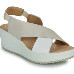 IgI&CO - 5668811 Hot