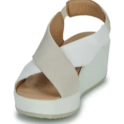 IgI&CO - 5668811 Hot