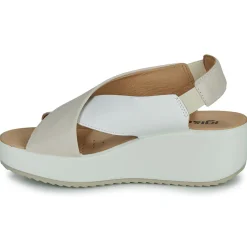 IgI&CO - 5668811 Hot