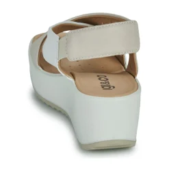 IgI&CO - 5668811 Hot