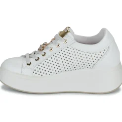 IgI&CO - D.ALLY Blanc Discount