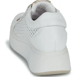 IgI&CO - D.ALLY Blanc Discount