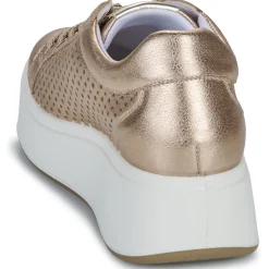 IgI&CO - D.ALLY Doré Outlet