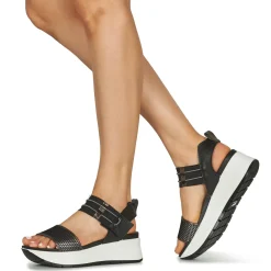 IgI&CO - D.SIRENA Noir