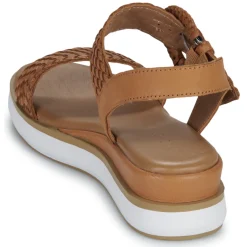 Inuovo - 113031 Marron Online
