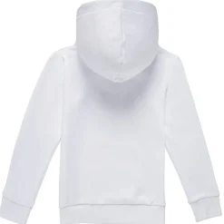 Jack & Jones - JCONASA LOGO SWEAT HOOD< Sweats & Polaires