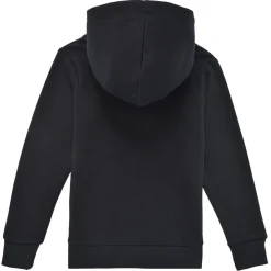 Jack & Jones Sweats & Polaires^- JCONASA LOGO SWEAT HOOD
