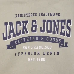 Jack & Jones - JJELOGO SWEAT HOOD 2 COL 24 SNJNR< Sweats & Polaires