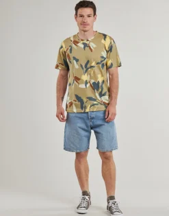 Jack & Jones - JJITONY< Shorts & Bermudas