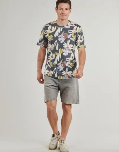 Jack & Jones Shorts & Bermudas^- JJITONY