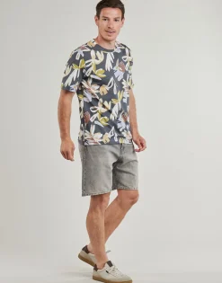 Jack & Jones Shorts & Bermudas^- JJITONY
