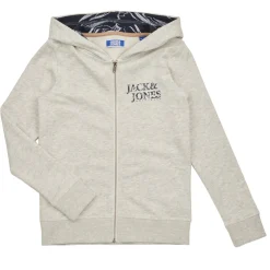 Jack & Jones Sweats & Polaires^- JORCRAYON SWEAT ZIP HOOD