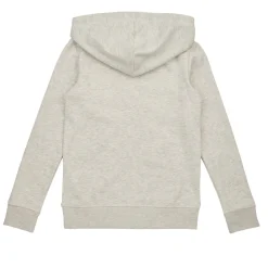 Jack & Jones Sweats & Polaires^- JORCRAYON SWEAT ZIP HOOD