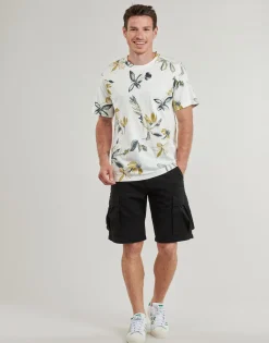 Jack & Jones Shorts & Bermudas^- JPSTCOLE