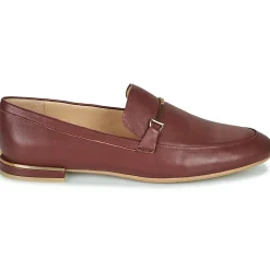 JB Martin - ALBI Marron Online