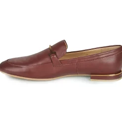 JB Martin - ALBI Marron Online