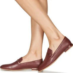 JB Martin - ALBI Marron Online