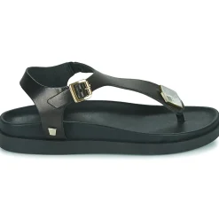 JB Martin - ALEO BUFFLENOIR Sale