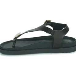 JB Martin - ALEO BUFFLENOIR Sale