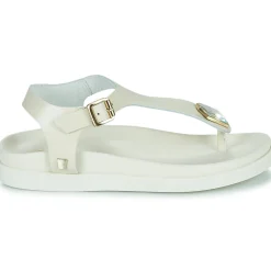 JB Martin - ALEO BUFFLEOFFWHITE