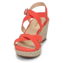 JB Martin - DARELO Sunlight Sale