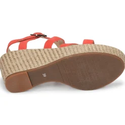 JB Martin - DARELO Sunlight Sale