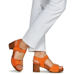 JB Martin - DONA Croûteorange Discount