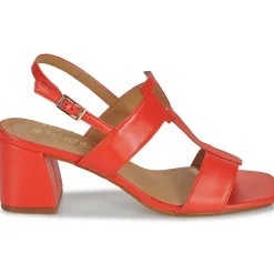 JB Martin - VITALIE NAPPACORAIL Online