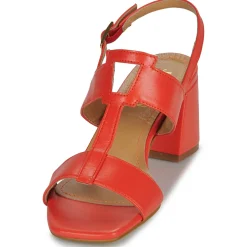 JB Martin - VITALIE NAPPACORAIL Online